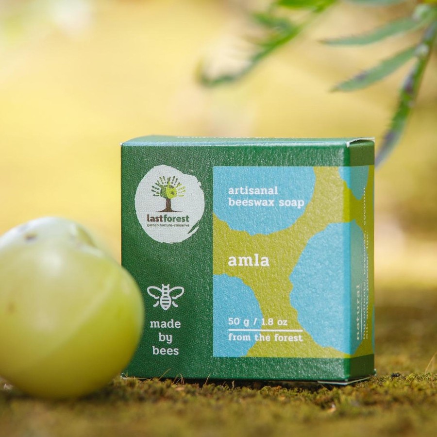 Others Last Forest | Artisanal Handmade 'Pebbles' Beeswax Soap - Amla - Last Forest