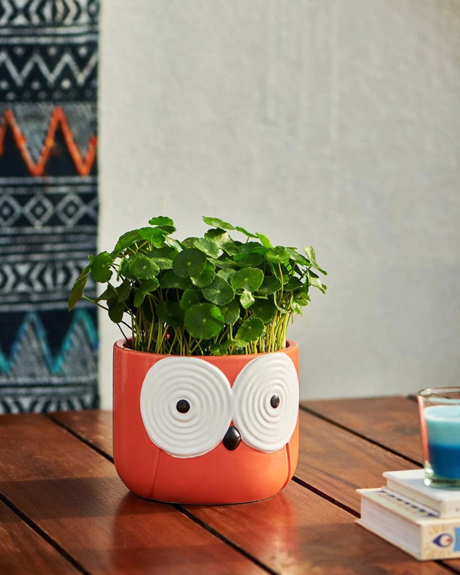 Others Chumbak | Owl Is Good Mini Planter Pink - Chumbak