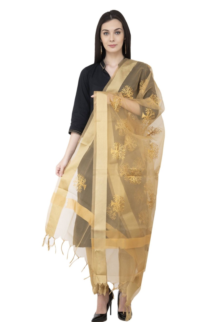 Women AR Silks | A R Silk Tissue Zari Embroidery Zari Embroidery Color Dupatta Or Chunni Golden