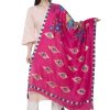 Women AR Silks | A R Silk Silk Peacock Multi Fancy Dupatta Color Dupatta Or Chunni Rani