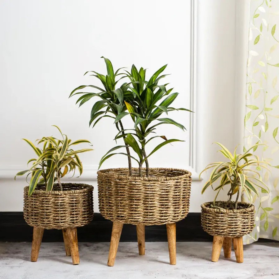 Others DecorTwist | Natural Seagrass Hand Woven Planter (Set Of 3) - Decortwist