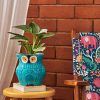 Others Chumbak | Be Owl Some Planter Teal - Chumbak