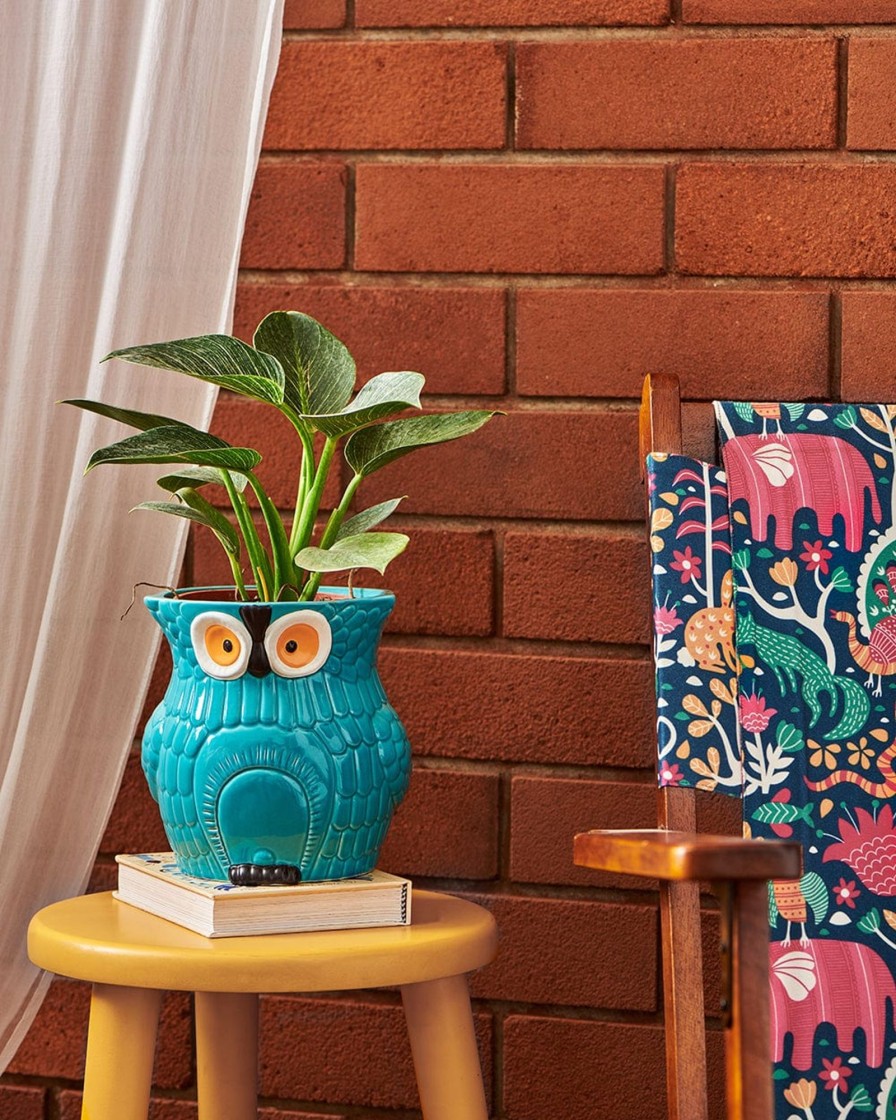 Others Chumbak | Be Owl Some Planter Teal - Chumbak