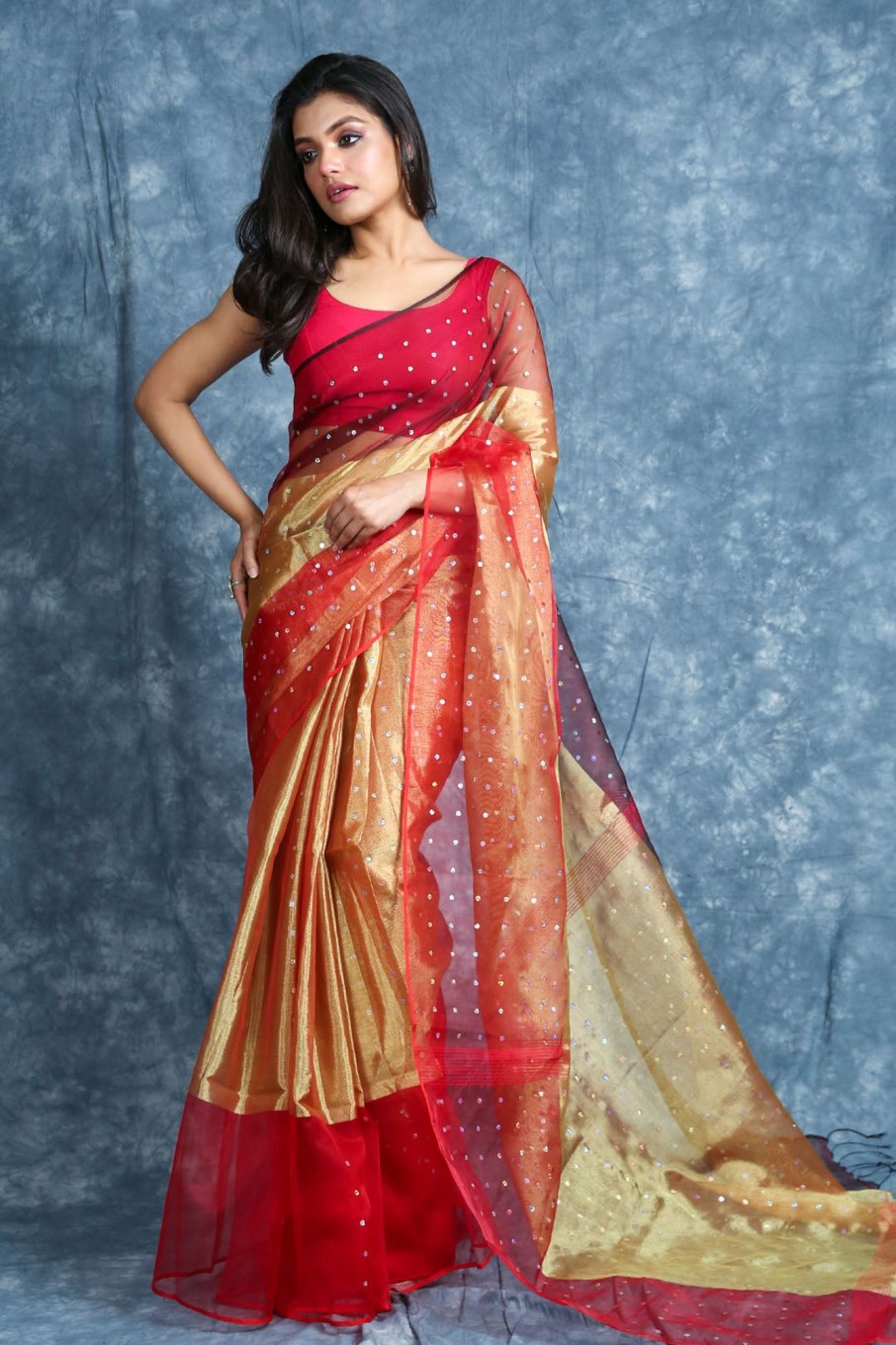 Women Charukriti | Women'S Handwoven Saree With Allover Sequins - Charukriti