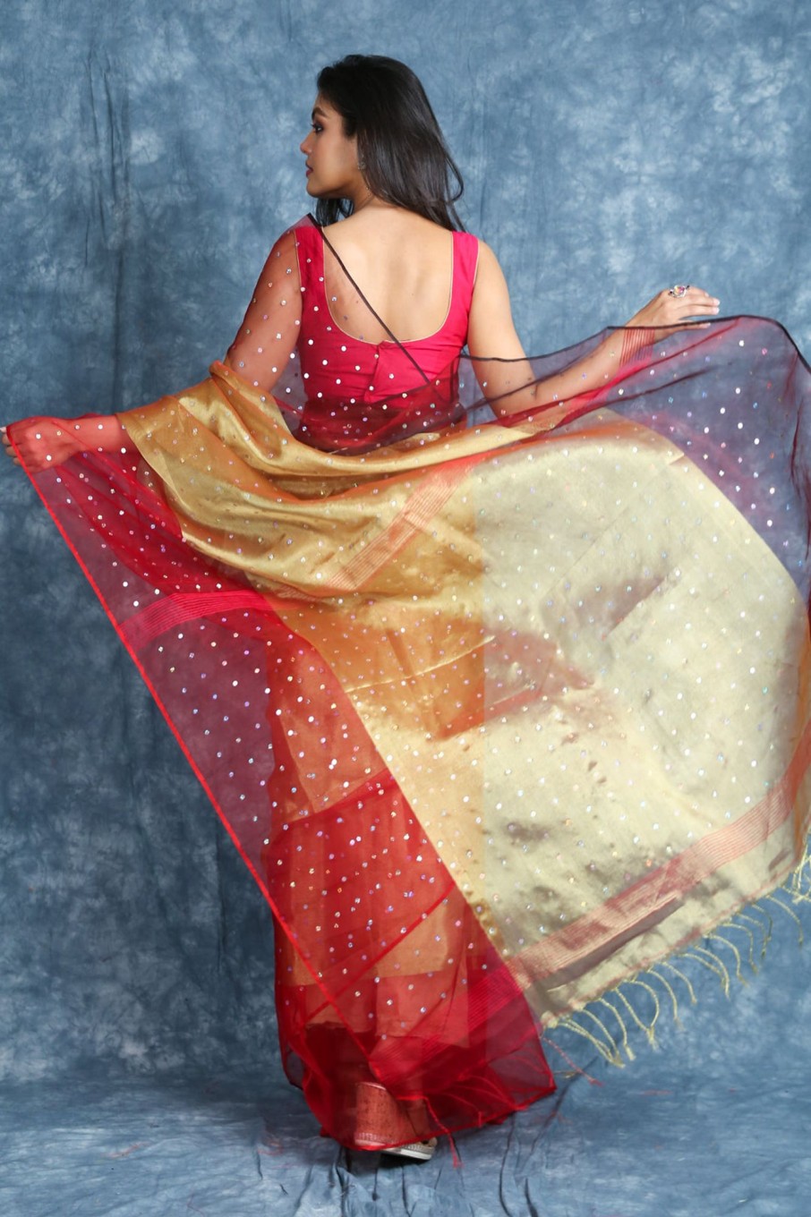 Women Charukriti | Women'S Handwoven Saree With Allover Sequins - Charukriti